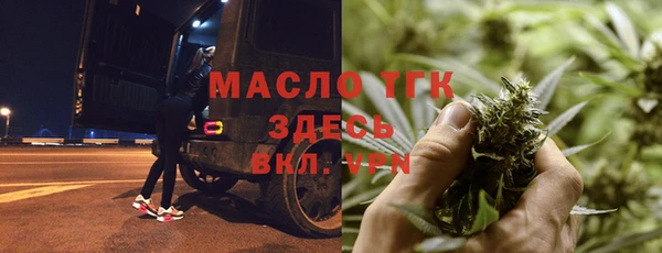 индика Вязники