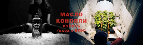 индика Вязники