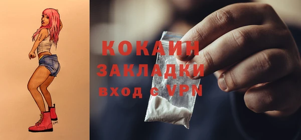 индика Вязники