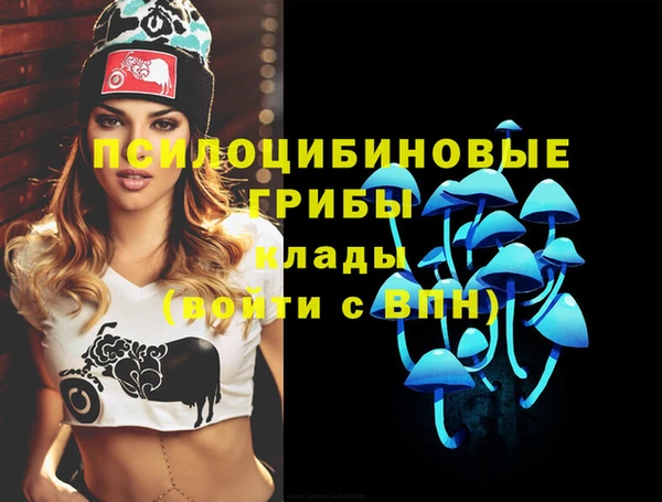 mdpv Вязьма
