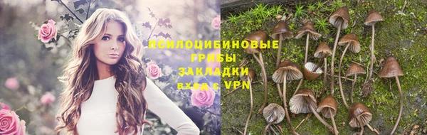 индика Вязники