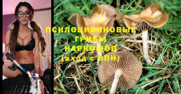 PSILOCYBIN Верхний Тагил