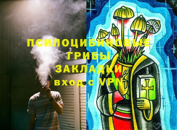 индика Вязники