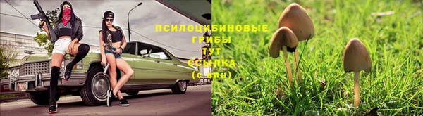 MDMA Вяземский