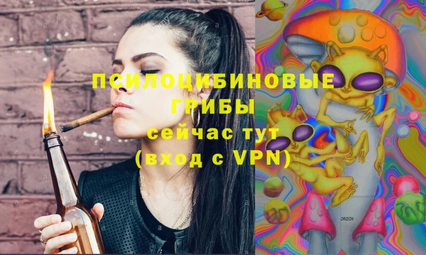 индика Вязники