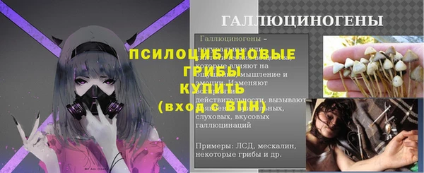 индика Вязники