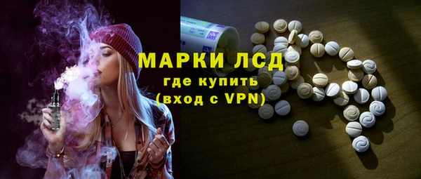 индика Вязники