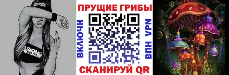 купить наркотик  Зверево  Псилоцибиновые грибы прущие грибы 